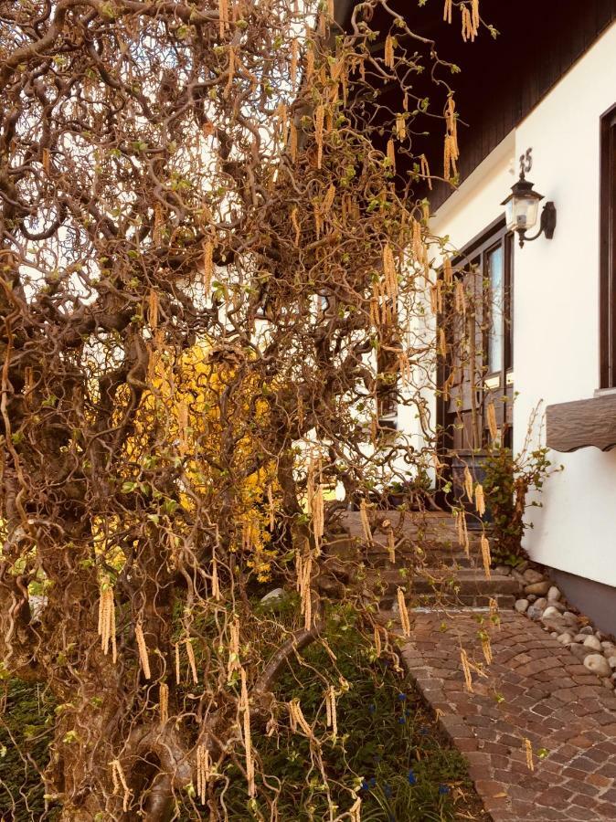 Hegau-Lounge-Bodensee Muhlhausen-Ehingen Eksteriør billede